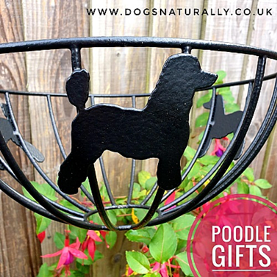 Poodle Luxury Gifts (Lamb Cut)